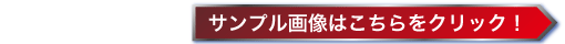 サンプルはこちら