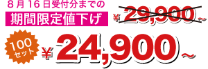 ８月１６日までの限定価格100セット24900円