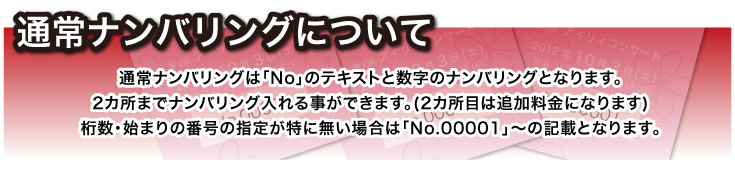 通常ナンバリングについて