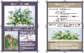 お客様・チラシ