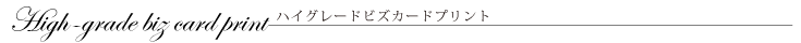 ハイグレードビズカードプリント