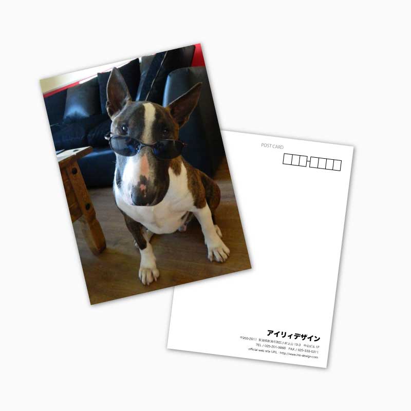 ポストカード印刷